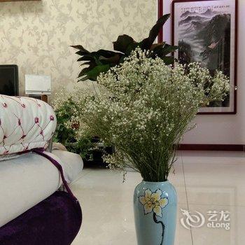 西安温暖阳光普通公寓酒店提供图片