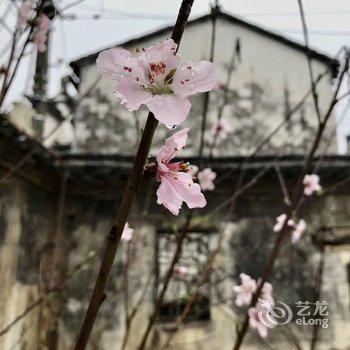 婺源赋春山居酒店提供图片