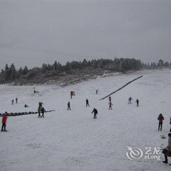 武隆仙女山长松国际大酒店酒店提供图片