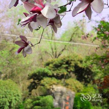 洛阳东山宾馆酒店提供图片