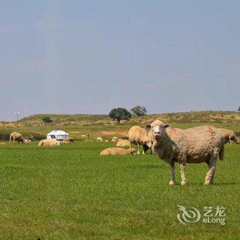 正蓝旗蟹岛度假村用户上传图片