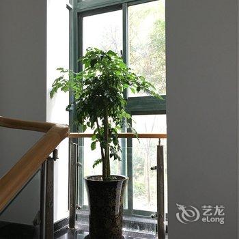 上海伊娜酒店酒店提供图片