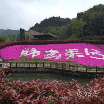 宁波南苑花博园度假酒店酒店提供图片