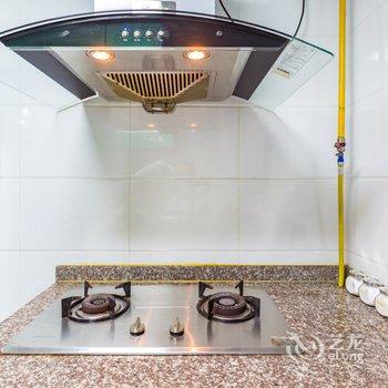 成都狸狸的斐然小居普通公寓酒店提供图片