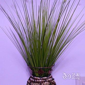 成都成都清风静居-天紫界普通公寓(通惠门路店)酒店提供图片