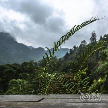 都江堰悠人雅舍山庄酒店提供图片