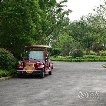 上海崇明岛森林漫心度假酒店酒店提供图片