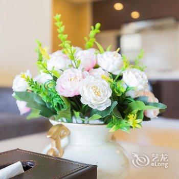 海口尊旅泰格玛观澜湖度假公寓酒店提供图片