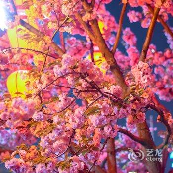 西安西雨芙声民宿酒店提供图片