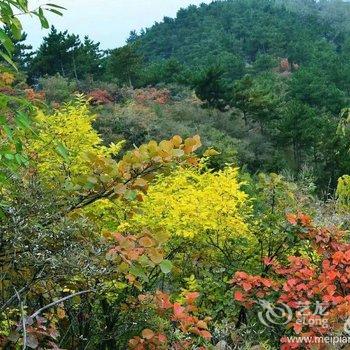 辉县三山脑山庄酒店提供图片