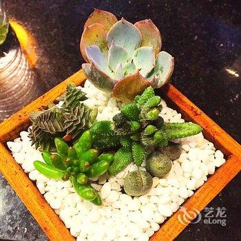 凤凰幸福花园景区连锁客栈(凤凰店)酒店提供图片