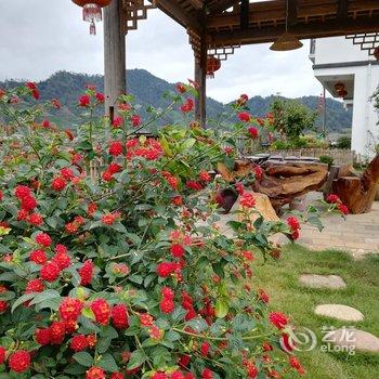 武夷山彭祖养生客栈酒店提供图片