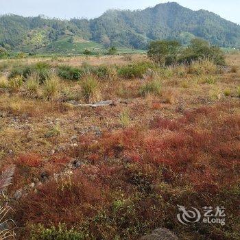 武夷山彭祖养生客栈酒店提供图片