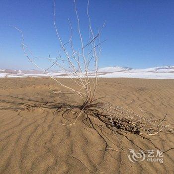 敦煌山行者国际沙漠露营基地酒店提供图片