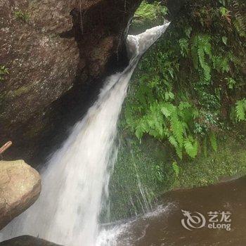 洪雅凯冠乡村酒店酒店提供图片