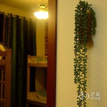 上海迪士林青年旅舍酒店提供图片