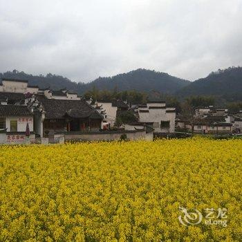 西递村头亮家客栈酒店提供图片