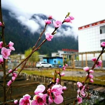 波密十间房花园民宿酒店提供图片