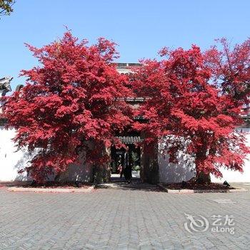 上海道里精品民宿(迪士尼店)酒店提供图片