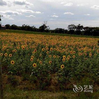 张北马二虎农家院酒店提供图片