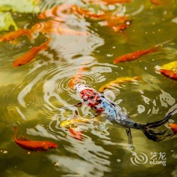 无锡青螺居民宿酒店提供图片