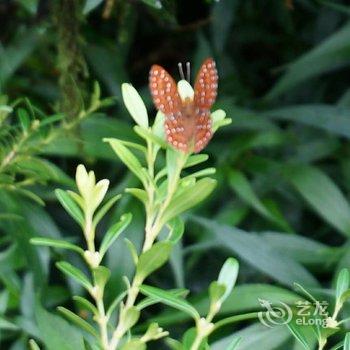 荔波依山碧水农家客栈酒店提供图片