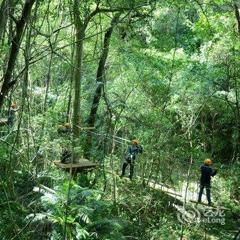 东源桂山森林浴宾馆酒店提供图片