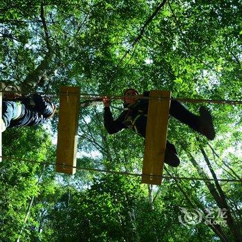 东源桂山森林浴宾馆酒店提供图片