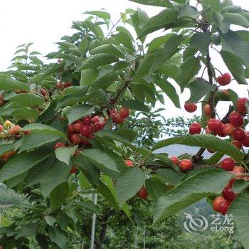 北戴河桂荣旅馆酒店提供图片