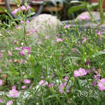 大理施子窝客栈