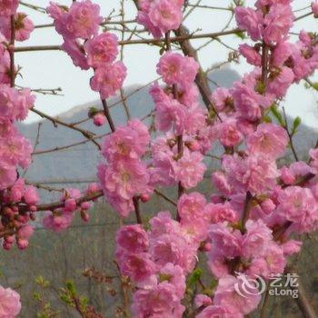 北京响水湖聚鑫农家院酒店提供图片