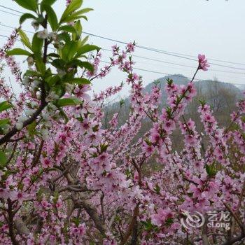 北京响水湖聚鑫农家院酒店提供图片