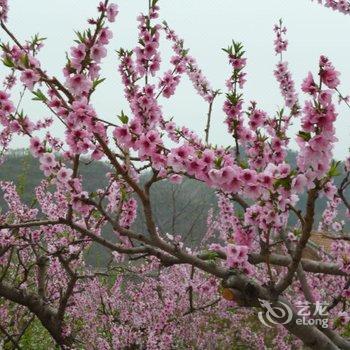 北京响水湖聚鑫农家院酒店提供图片