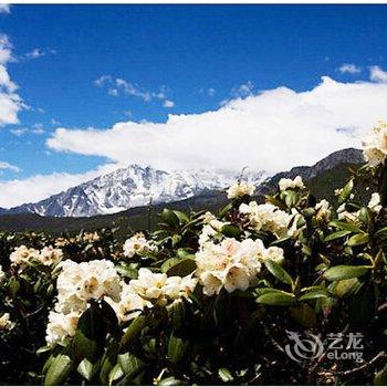 成都西岭雪山雪花酒店酒店提供图片