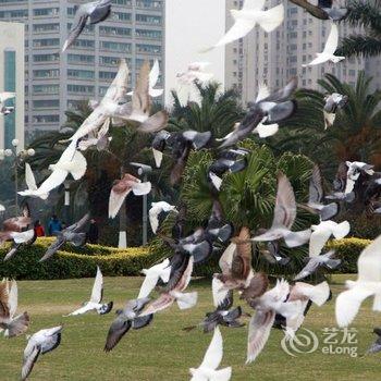 海口康年皇冠花园酒店酒店提供图片