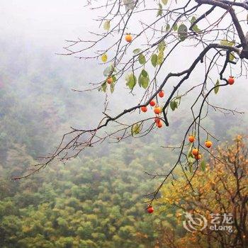 余姚老柿林山居度假村酒店提供图片