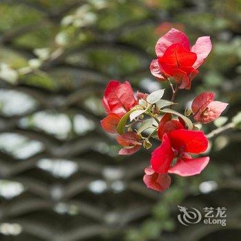 阳朔丽然隐居度假民宿(原丽然酒店)酒店提供图片