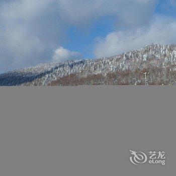 雪乡二浪河服务中心大酒店酒店提供图片