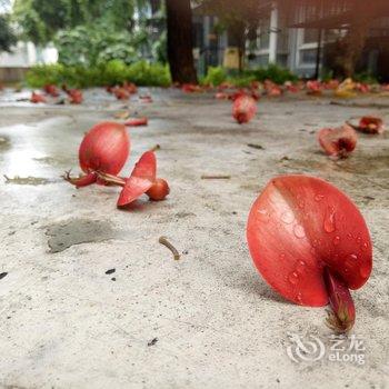 柳州栖客青年旅社酒店提供图片