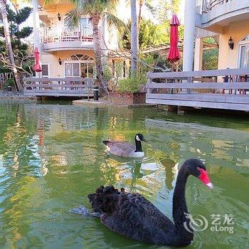 垦丁天鹅湖湖畔别墅饭店酒店提供图片