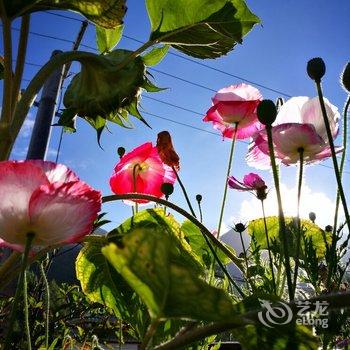 林芝影调小筑客栈酒店提供图片