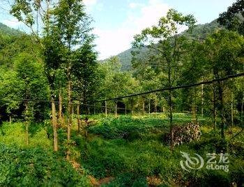 重庆四面山天然居山庄酒店提供图片