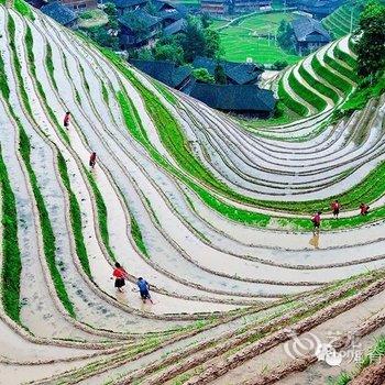 龙胜田园山庄酒店提供图片