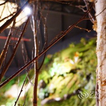 崇明海上花岛生态度假酒店酒店提供图片
