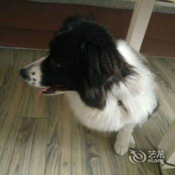 黄山须臾栖谷45号概念民宿酒店提供图片