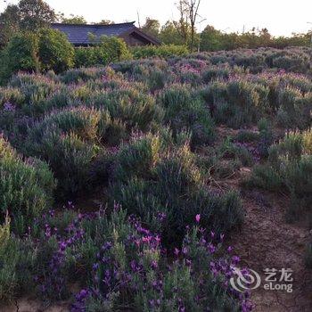 南京拾穗home精品民宿酒店提供图片