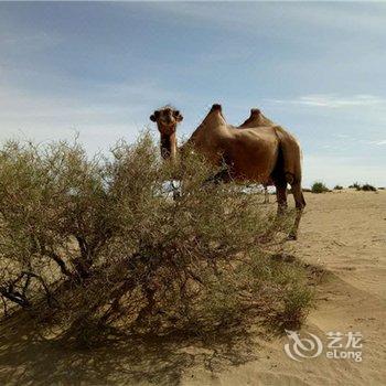 敦煌高老庄客栈酒店提供图片