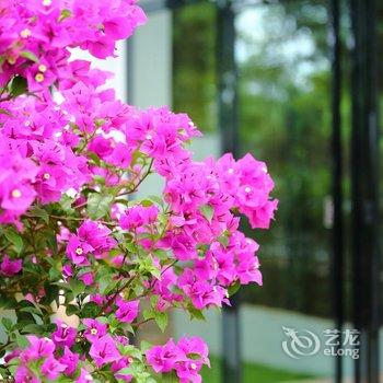 桂林未见雨江景客栈酒店提供图片