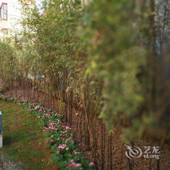 石林杏林大观园紫竹苑酒店酒店提供图片