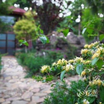 石林杏林大观园紫竹苑酒店酒店提供图片